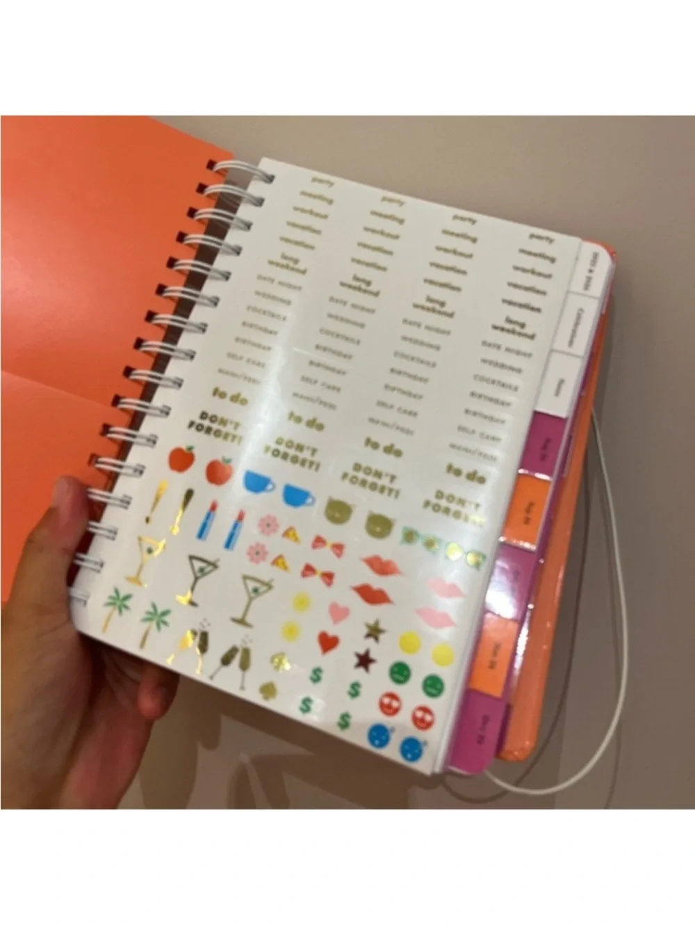Kate Spade It's Your Lucky Day 2024-25 17-month Large Planner # K240242